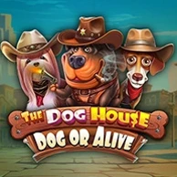 The Dog House Dog Or Alive